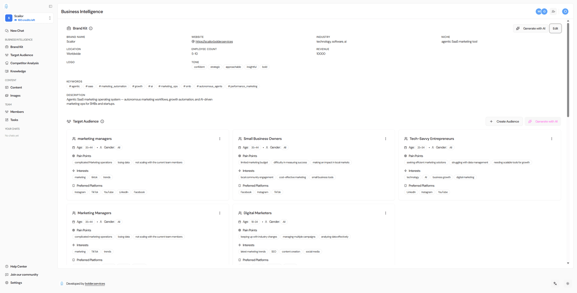 Business Intelligence: Brand Kit, Target Audience, Competitor Analysis, Knowledge